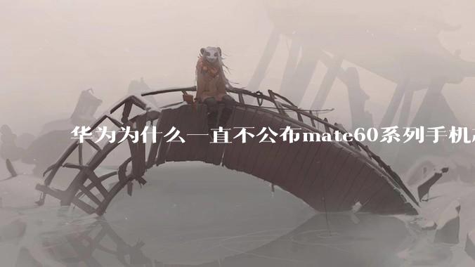 华为为什么一直不公布mate60系列手机芯片？