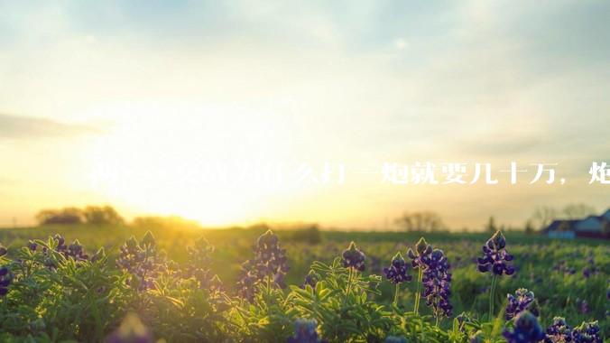 两***交战为什么打一炮就要几十万，炮弹都很值钱吗？